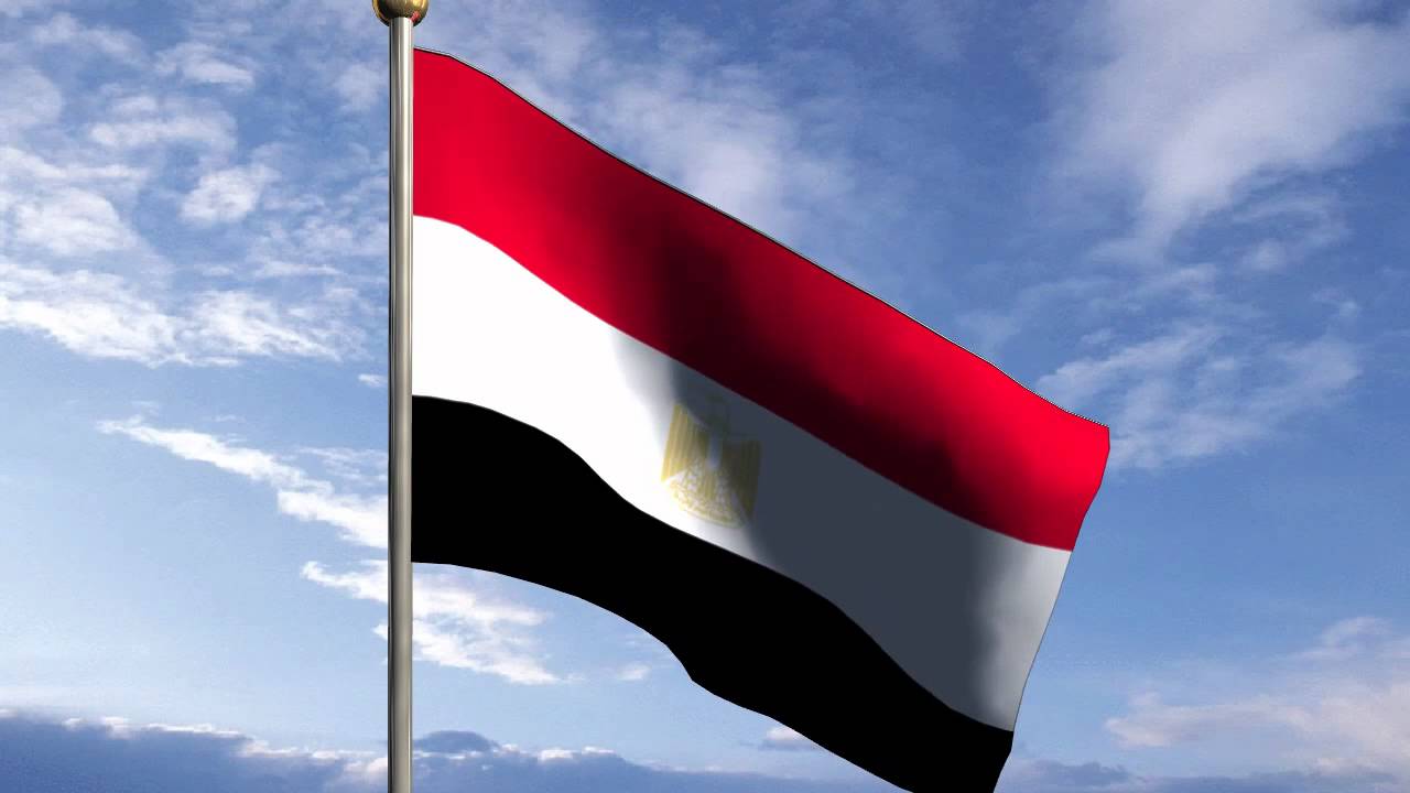 استعلم عن رقم جواز سفر مصري