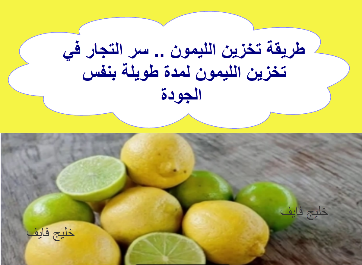 طريقة تخزين الليمون لمدة طويلة مثل تجار الخضروات