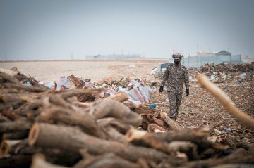 قوات الأمن البيئي تضبط مخالفين برعي الإبل والاتجار في الحطب في حائل وعسير