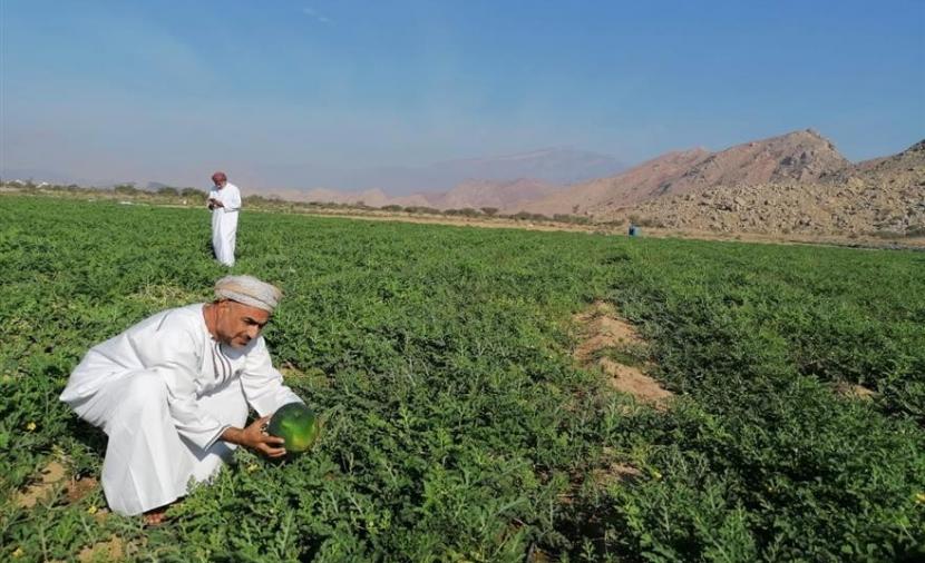 “مختبر الأمن الغذائي” يبحث تطوير الفرص الاستثمارية