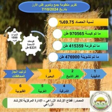 وزارة الزراعة: حصاد 70% من المساحات المنزرعة بمحصول الأرز