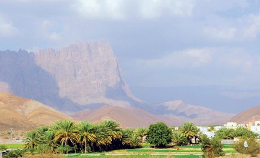 حصاد وفير من المنتجات الزراعية بقرى وادي العين في عبري