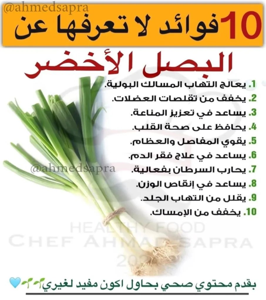 أبرز فوائد تناول البصل الأخضر وكيف يمكن استخدامه في الطعام 3 البصل الأخضر