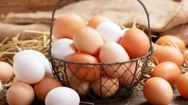 مدة صلاحية البيض في فصل الصيف وطرق التخزين الصحيحة له 3 مدة صلاحية البيض