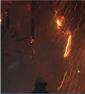 في مشهد مفزع حريق هائل يلتهم نخيل كورنيش مصر القديمة 3 حريق النخيل