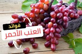 فوائد تناول العنب الأحمر قبل النوم من بينها تحسين صحة العين والدماغ 4 فوائد تناول العنب الأحمر