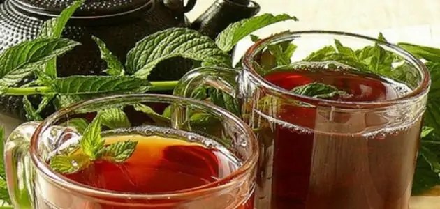 3 فوائد غير متوقعة عن تناول الشاي في يومه العالمي 4 فوائد تناول الشاي