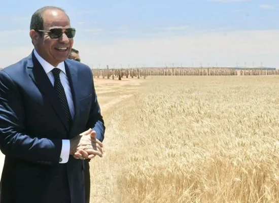الرئيس السيسي خلال انطلاق موسم حصاد القمح الأراضي الجديدة توفر فرص عمل لـ600 ألف أسرة وراتب 7 آلاف جنيه 3 الرئيس السيسي