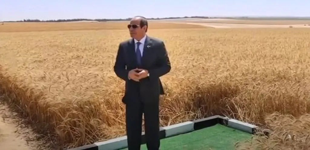 الرئيس السيسي يزف أنباء مفرحة للعاملين في 14 بحيرة لزيادة إنتاج السمك 2 الرئيس السيسي