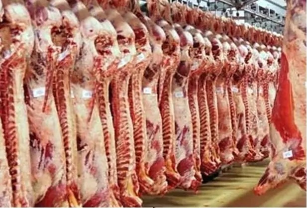 بدأت بعيد القيامة الجزارين تكشف عن الاعيب قام بها التجار لرفع أسعار اللحوم وأضاحي العيد 2 أسعار اللحوم تواصل الصعود