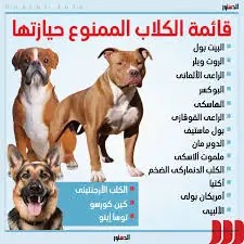 وزير الزراعة يكشف عن 3 سلالات من الكلاب محظور اقتناؤها أو ترخيصها ومن يملكها يجب تسليمها للطب البيطري 2 سلالات من الكلاب محظور اقتناؤها