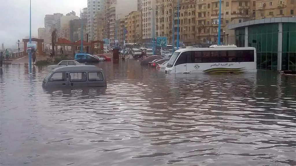 نبوءة ليلى عبد اللطيف تحققت أم صدفة مخيفة مقطع متداول للعرافة اللبنانية يثير الجدل 5 عاصفة الإسكندرية