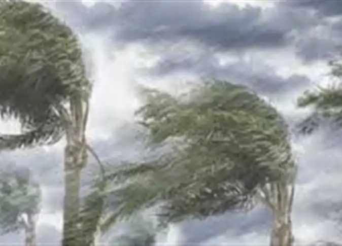 عاصفة الإسكندرية