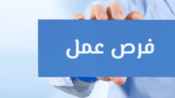 فاصل أيام خبر سار يزفه وزير المالية لجميع العاملين في الدولة 3 فرص عمل