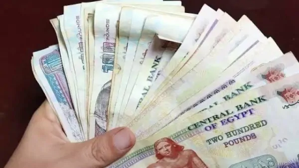 صرف مكافأة 2000 جنيه