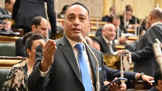 النائب فريدي البياضي يعبر عن استيائه من تأخير لائحة رعاية المسنين يا حكومة هل منتظرين الشعب كله يبقى مسن 2 عضو مجلس النواب الدكتور فريدي البياضي