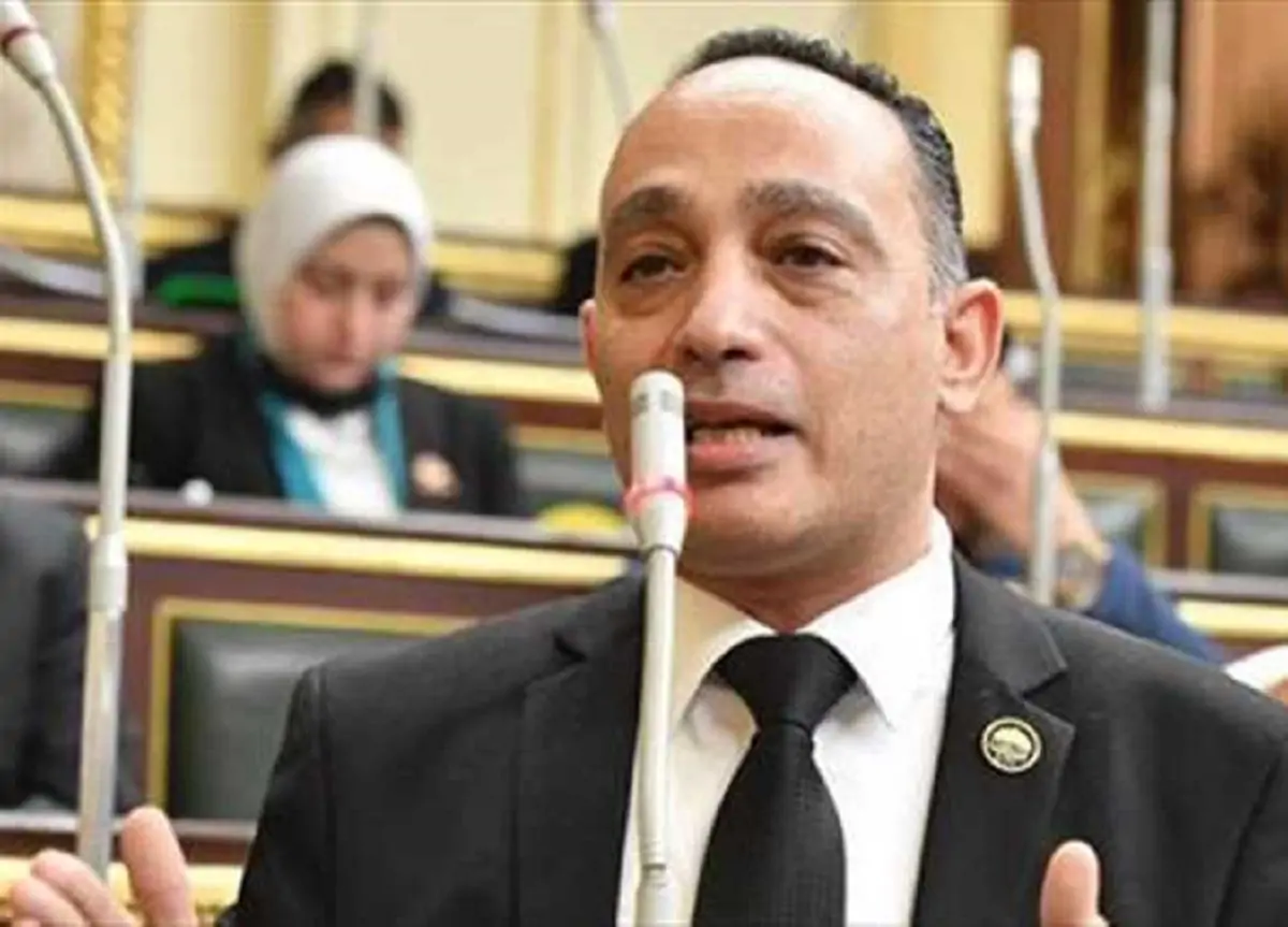 النائب فريدي البياضي يعبر عن استيائه من تأخير لائحة رعاية المسنين يا حكومة هل منتظرين الشعب كله يبقى مسن 4 النائب فريدي البياضي