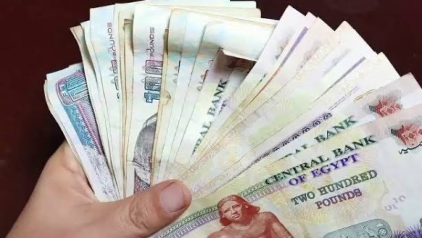 يا حظك لو كنت منهم صرف مكافأة قبل عيد الأضحى 2000 جنيه للموظفين في هذه الجهات 2 صرف مكافأة 2000 جنيه