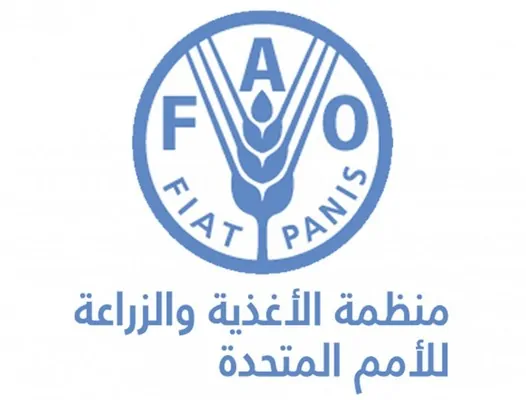 معلومات عن مينا رزق أول مصري وأصغر رئيس لـ الفاو 4 منظمة الفاو