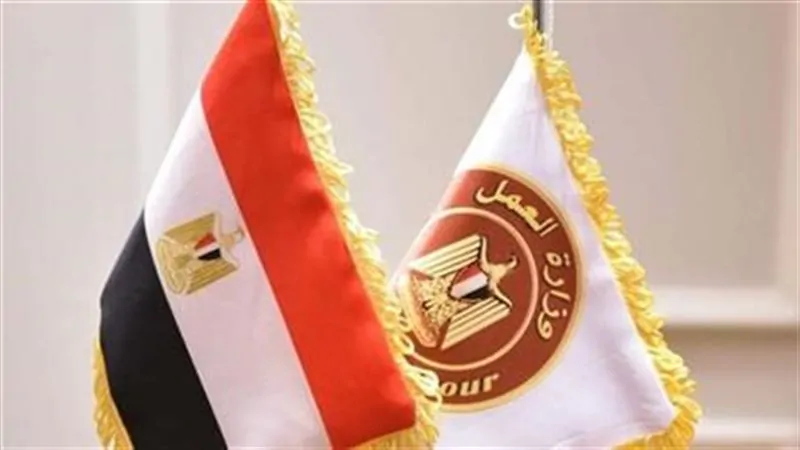 مرتبات تصل إلى 8000 جنيه وزارة العمل تكشف عن فرص جديدة بالقطاع الخاص الحق قدم 4 وزارة العمل