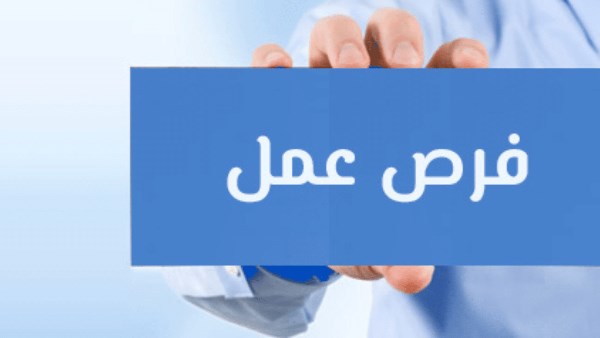 وزارة العمل تعلن عن فرصة وظيفة براتب 500 دولار شهري بدولة عربية إلحق قدم خلال يومين 3 فرص عمل