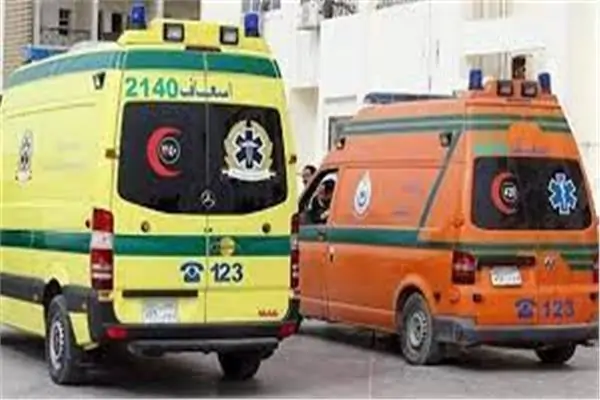 هل تم فك لغز وفاة 5 أطفال أشقاء في قرية دلجا التابعة لمحافظة المنيا 3 وفاة ثلاثة أطفال أشقاء
