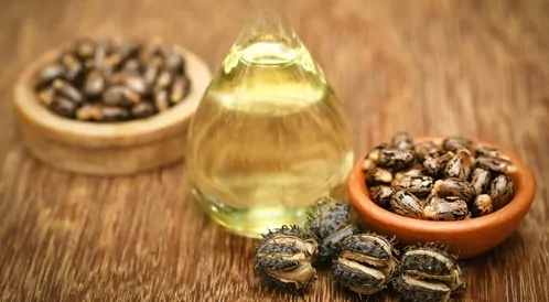 الكشف عن الزيت الذي أستحق لقب بوتوكس الطبيعة له القدرة على الصمود أمام اختبار الزمن 2 زيت الخروع بوتوكس الطبيعة سر الجمال