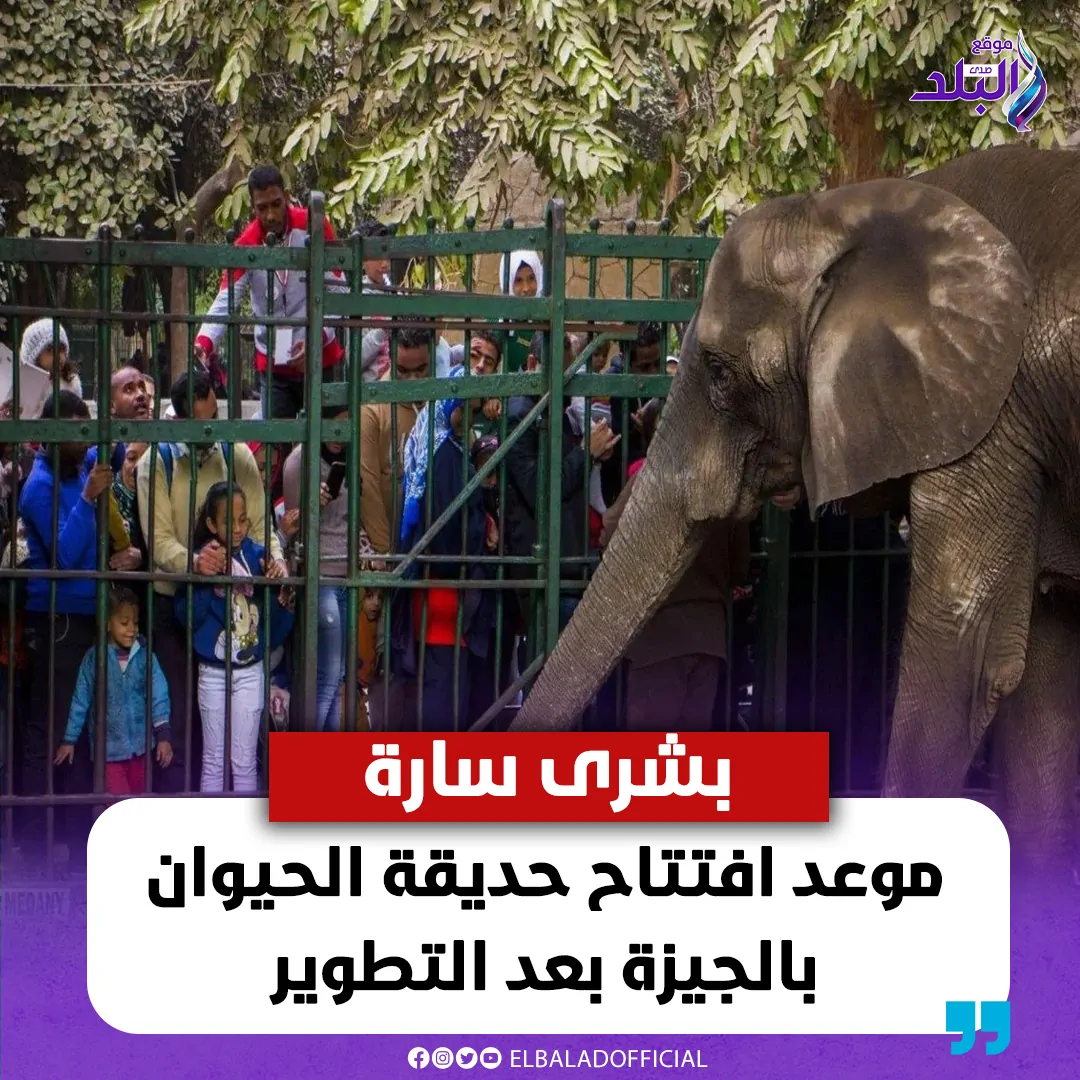 بعد طول انتظار موعد افتتاح حديقة الحيوان بالجيزة وزير الزراعة يعلن بشرى سارة 2 حديقة الحيوان