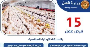 للشباب المصري 15 فرصة عمل جديدة بالمملكة الأردنية الهاشمية 2 فرصة عمل جديدة