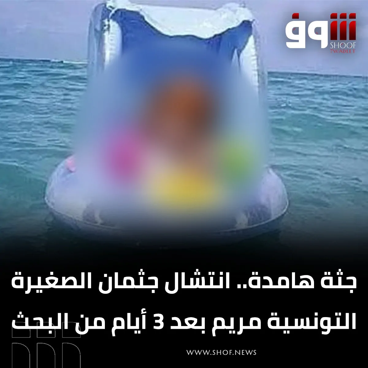 الطفلة مريم أنيس