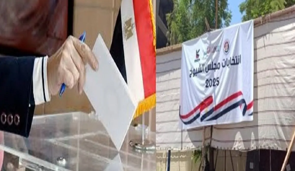 انتخابات مجلس الشيوخ موعد إجراء فرز أصوات الناخبين الهيئة الوطنية ترد 3 انتخابات مجلس الشيوخ