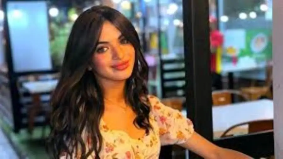 حكم قضائي ضد سوزي الأردنية بسبب فيديوهات خادشة للحياء 4 تفاصيل اعترافات سوزي الأردنية
