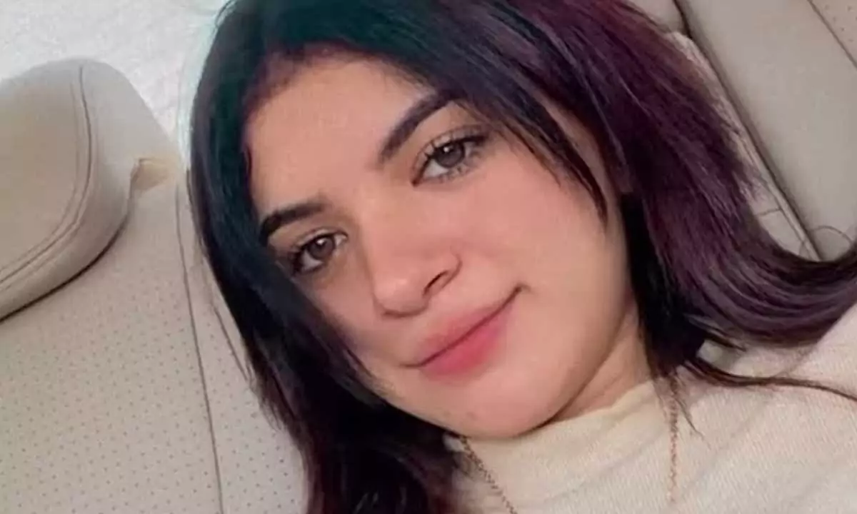 سوزي الأردنية من الملاك البريء إلى متهمة بغسيل 15 مليون ردنية وقانوني يكشف عن العقوبة 4 تأثير حادثة سوزي الأردنية