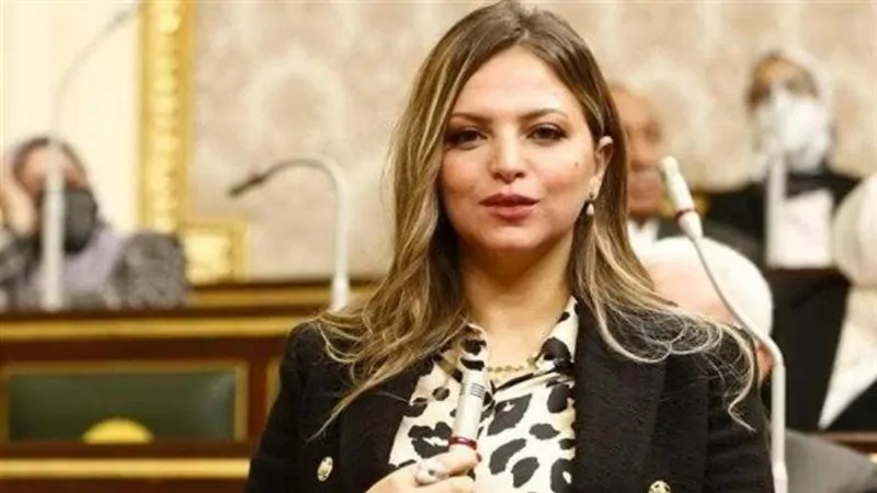 مي أسامة رشدي عضو مجلس النواب