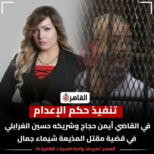 حكم الإعدام في القاضي أيمن حجاج وصديقه