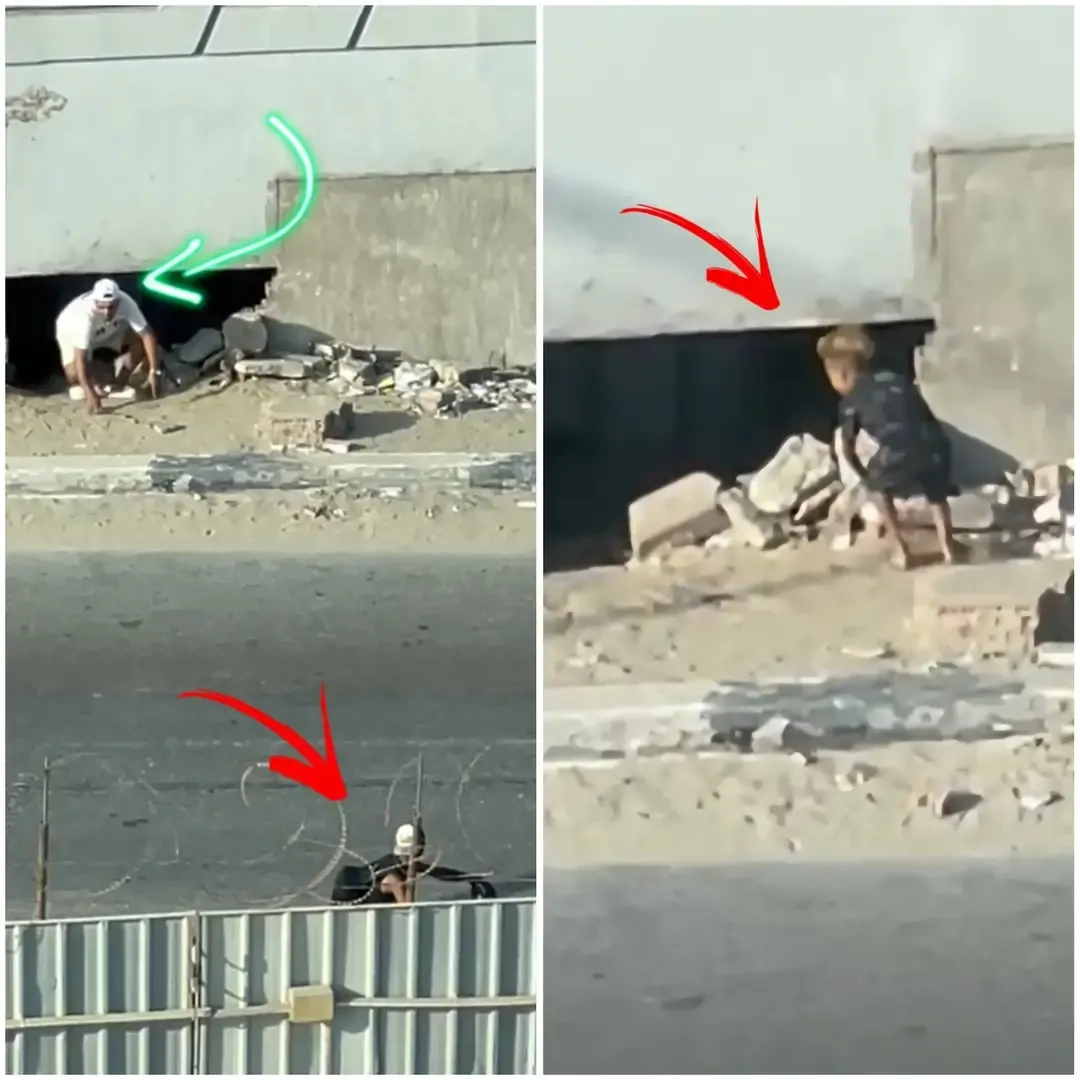 الداخلية تداهم الثقب الأسود تفاصيل الإطاحة بوكر استغلال الأطفال بالجيزة 4 الثقب الأسود