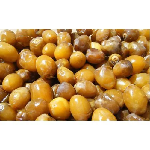 اعرف تأثير البلح البرحي على الجسم طعمه وشكله حلو 3 البلح البرحي
