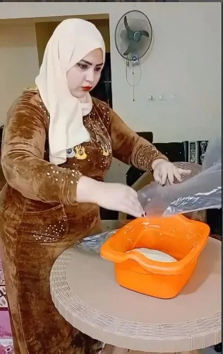 القبض على البلوجر حسناء شعبان