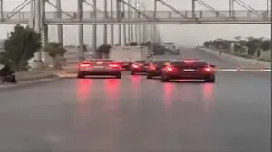 مطاردة الواحات