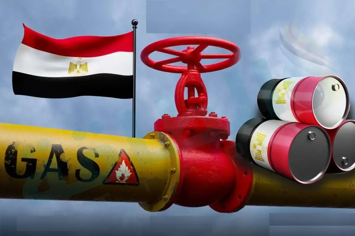 كنز في الصحراء الغربية مصر تعلن عن اكتشاف نفطي فريد بتقنية غير مسبوقة 2 زيادة واردات النفط الخام