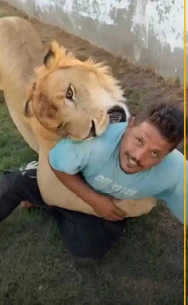 العامل المصري في ليبيا