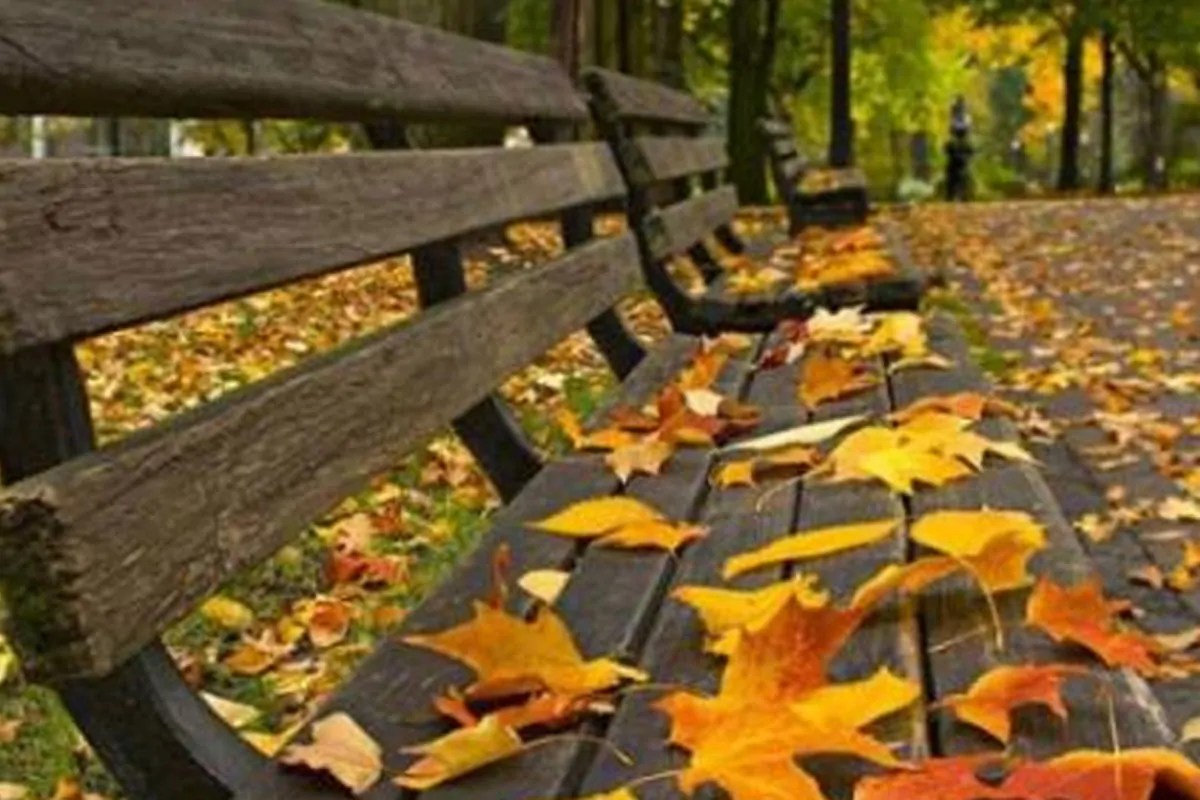 وداعاً للصيف الأرصاد تحذر من تقلبات الخريف وتكشف عن حالة طقس اليوم 30/9/2025