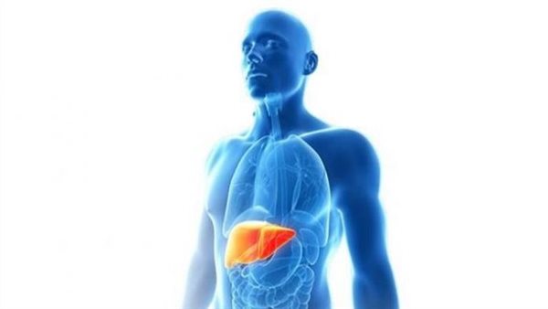نقلة نوعية في علاج تلف الكبد.. اكتشاف قد ينقذ ملايين المرضى