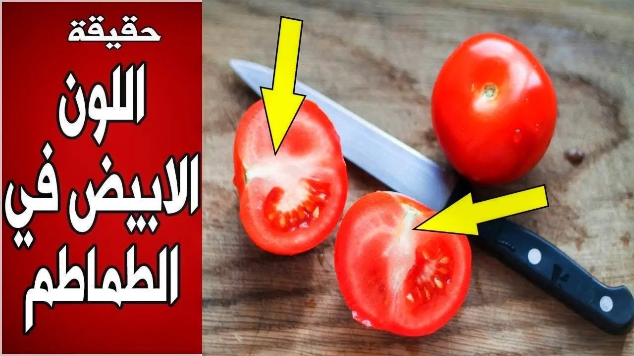 وزارة الزراعة توضح حقيقة انتشار طماطم مسرطنة بالأسواق بسبب لونها الأبيض من الداخل