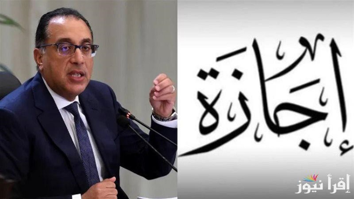 وزير العمل يعلن موعد إجازة المولد بالقطاع الخاص مدفوعة الأجر للعاملين 4 إجازة