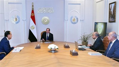 السيسي يتابع جهود تطوير الشبكة القومية للكهرباء ويؤكد على تعظيم الاستفادة من الطاقة المتجددة