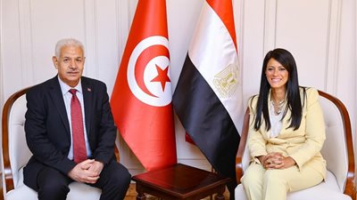حجم الصادرات المصرية إلى تونس تقدر بنحو 434.5 مليون دولار في عام 2024