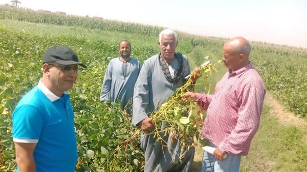 برامج توعية زراعية لتعظيم الاستفادة من المخلفات وتحقيق عائد اقتصادي مستدام