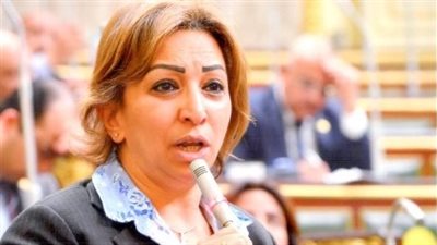 اتصالات النواب لتحيا مصر: يوجد طرق لتحسين جودة الشبكة.. ولكن هناك عقبة
