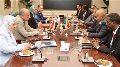 الكهرباء: تعاون مصري سوداني لإعادة تأهيل المحطات والتوسع بالطاقة الشمسية والربط الكهربائي